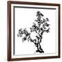 Chinese Traditional Ink Painting, Pine Tree On White Background-elwynn-Framed Art Print