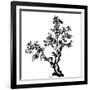 Chinese Traditional Ink Painting, Pine Tree On White Background-elwynn-Framed Art Print