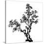 Chinese Traditional Ink Painting, Pine Tree On White Background-elwynn-Stretched Canvas