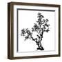 Chinese Traditional Ink Painting, Pine Tree On White Background-elwynn-Framed Art Print