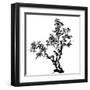 Chinese Traditional Ink Painting, Pine Tree On White Background-elwynn-Framed Art Print