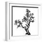 Chinese Traditional Ink Painting, Pine Tree On White Background-elwynn-Framed Art Print