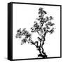 Chinese Traditional Ink Painting, Pine Tree On White Background-elwynn-Framed Stretched Canvas