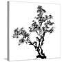 Chinese Traditional Ink Painting, Pine Tree On White Background-elwynn-Stretched Canvas