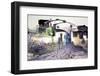 Chinese Traditional Painting of Water House-yangzai-Framed Photographic Print