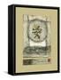 Chinese Tranquility-Mauro-Framed Stretched Canvas