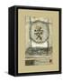 Chinese Tranquility-Mauro-Framed Stretched Canvas