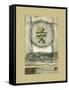 Chinese Tranquility-Mauro-Framed Stretched Canvas