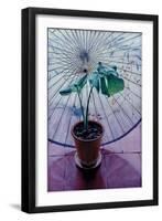 Chinese Umbrella-Simon Cook-Framed Giclee Print