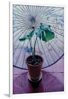 Chinese Umbrella-Simon Cook-Framed Giclee Print