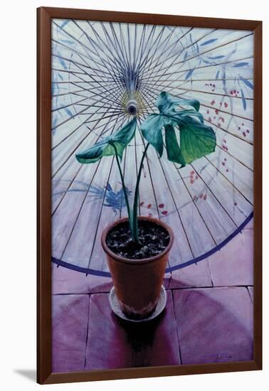 Chinese Umbrella-Simon Cook-Framed Giclee Print