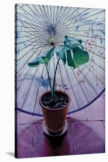 Chinese Umbrella-Simon Cook-Stretched Canvas