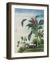 Chinese Watercolor of a Flowering Plant and a Butterfly-null-Framed Giclee Print