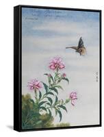 Chinese Watercolor of a Moth and Pink Carnations-null-Framed Stretched Canvas