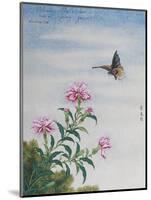 Chinese Watercolor of a Moth and Pink Carnations-null-Mounted Premium Giclee Print