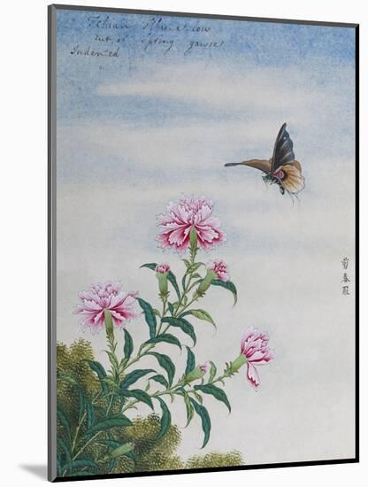 Chinese Watercolor of a Moth and Pink Carnations-null-Mounted Premium Giclee Print