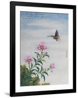 Chinese Watercolor of a Moth and Pink Carnations-null-Framed Giclee Print