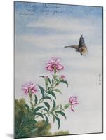 Chinese Watercolor of a Moth and Pink Carnations-null-Mounted Giclee Print