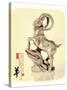 Chinese Word Mean Happy Goat Year, 2015 is Year of the Goat-kenny001-Stretched Canvas