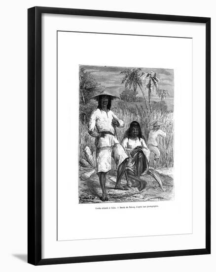 Chinese Workers, Cuba, 19th Century-Pelcoq-Framed Giclee Print