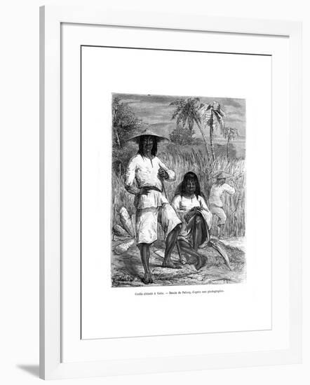 Chinese Workers, Cuba, 19th Century-Pelcoq-Framed Giclee Print