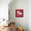Chinese Zodiac. Animal Astrological Sign. Pig.-Katyau-Framed Stretched Canvas displayed on a wall