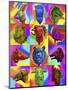 Chinese Zodiac Pop Art-Howie Green-Mounted Giclee Print