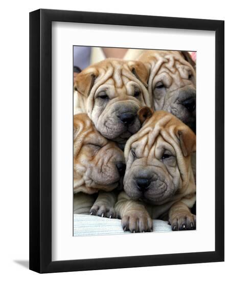 Photographic Print, , large
