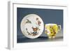Chinoiserie Decorated Cup and Saucer, 1735-null-Framed Giclee Print