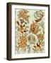 Chinoiserie Harmony-Mark Chandon-Framed Giclee Print