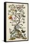 Chinoiserie Natura I-Naomi McCavitt-Framed Stretched Canvas