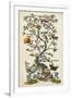 Chinoiserie Natura I-Naomi McCavitt-Framed Art Print