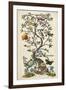 Chinoiserie Natura I-Naomi McCavitt-Framed Art Print