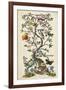 Chinoiserie Natura I-Naomi McCavitt-Framed Art Print