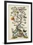 Chinoiserie Natura I-Naomi McCavitt-Framed Art Print