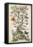 Chinoiserie Natura I-Naomi McCavitt-Framed Stretched Canvas