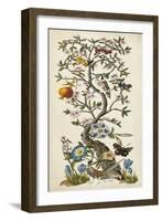 Chinoiserie Natura I-Naomi McCavitt-Framed Art Print