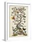 Chinoiserie Natura I-Naomi McCavitt-Framed Art Print