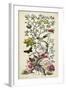 Chinoiserie Natura II-Naomi McCavitt-Framed Art Print