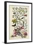 Chinoiserie Natura II-Naomi McCavitt-Framed Art Print