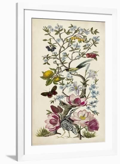 Chinoiserie Natura II-Naomi McCavitt-Framed Art Print