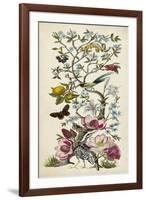 Chinoiserie Natura II-Naomi McCavitt-Framed Art Print