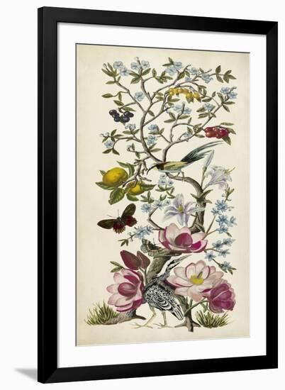 Chinoiserie Natura II-Naomi McCavitt-Framed Art Print