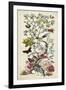 Chinoiserie Natura II-Naomi McCavitt-Framed Art Print