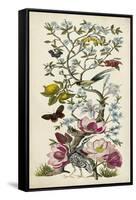 Chinoiserie Natura II-Naomi McCavitt-Framed Stretched Canvas