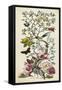 Chinoiserie Natura II-Naomi McCavitt-Framed Stretched Canvas