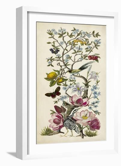 Chinoiserie Natura II-Naomi McCavitt-Framed Art Print