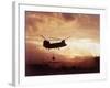 Chinook Helicopter Lifts Ammunition-null-Framed Photographic Print