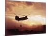 Chinook Helicopter Lifts Ammunition-null-Mounted Photographic Print