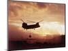 Chinook Helicopter Lifts Ammunition-null-Mounted Photographic Print